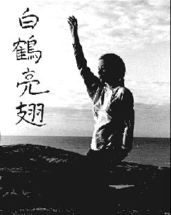 White Crane Spreads Wings