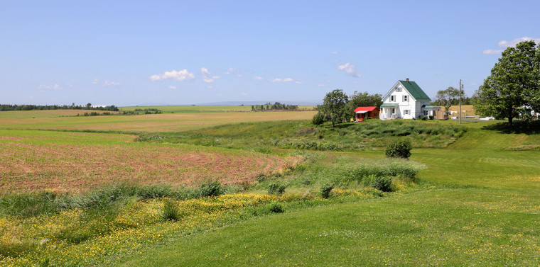 A farm on the Noel Shore yesterday